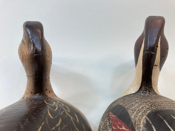 Ward Brothers Style Pintails Pair (#5515)