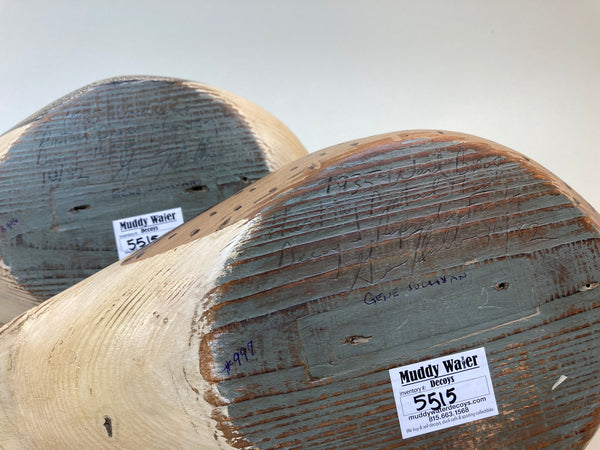 Ward Brothers Style Pintails Pair (#5515)