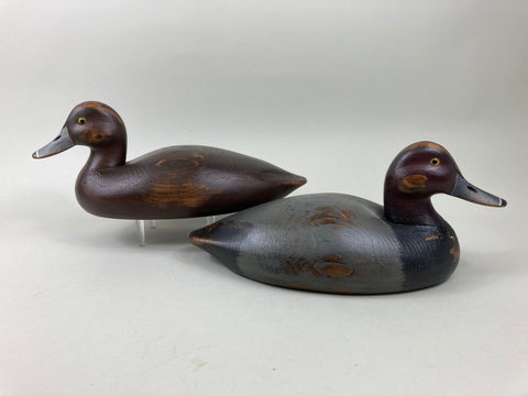 Len Suzor Redheads Pair, Ontario (#5517)