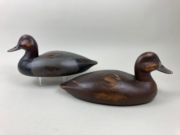 Len Suzor Redheads Pair, Ontario (#5517)