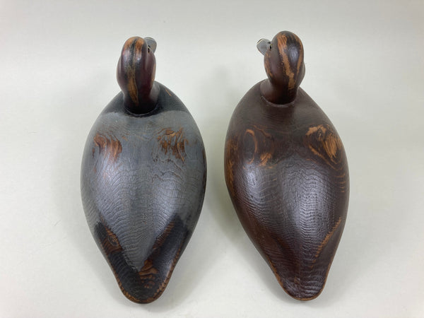 Len Suzor Redheads Pair, Ontario (#5517)