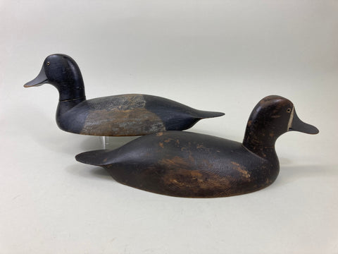 Canadian Blue Bills Pair- Original Paint, Circa 1920's (#5522)