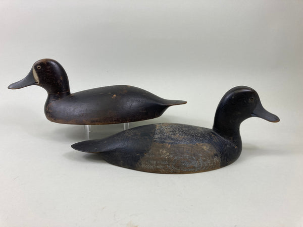 Canadian Blue Bills Pair- Original Paint, Circa 1920's (#5522)