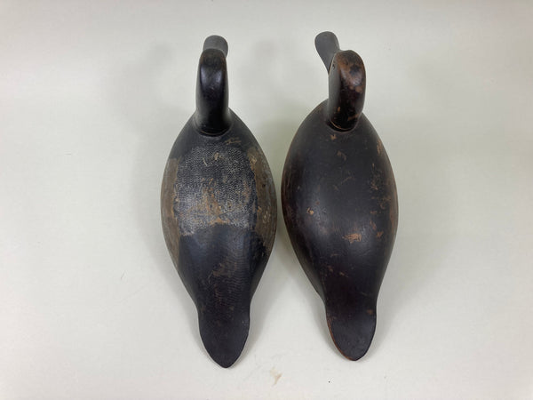 Canadian Blue Bills Pair- Original Paint, Circa 1920's (#5522)