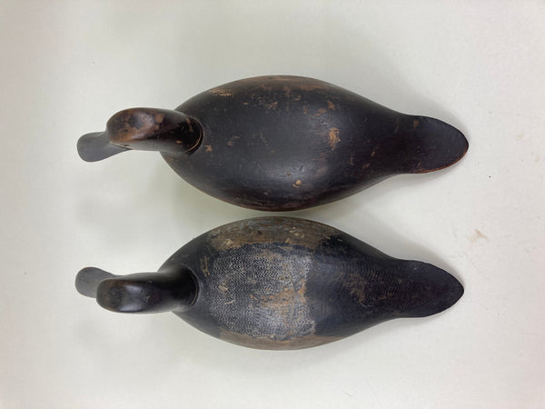 Canadian Blue Bills Pair- Original Paint, Circa 1920's (#5522)