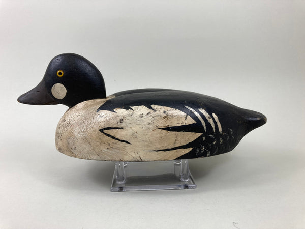 Nichols School Golden Eye Drake (#5533)