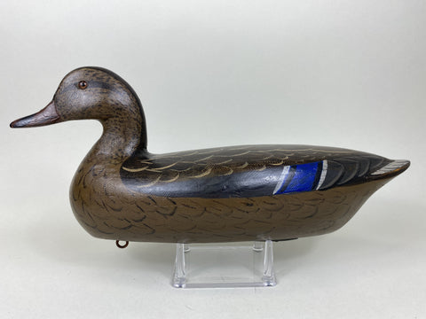 Perdew Style Mallard Hen by Charlie Moore (#5549)