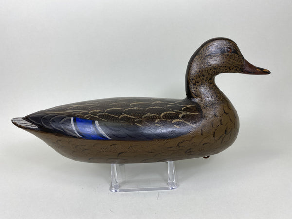 Perdew Style Mallard Hen by Charlie Moore (#5549)