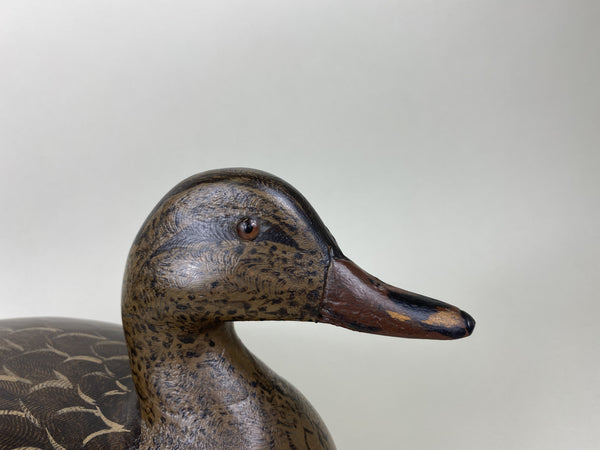 Perdew Style Mallard Hen by Charlie Moore (#5549)