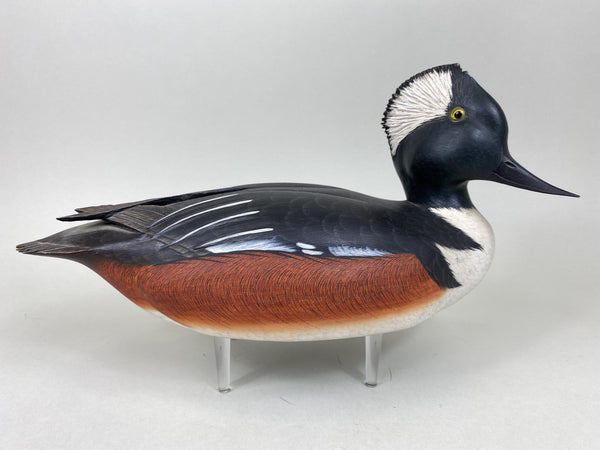 Ken Harris Hooded Merganser, Raised Crossed Wings (#5553)