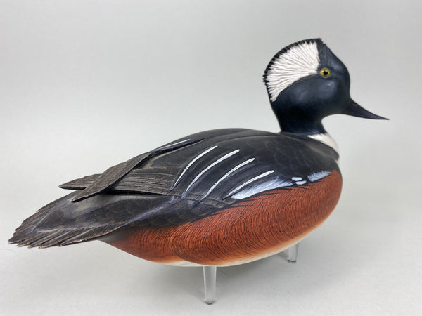 Ken Harris Hooded Merganser, Raised Crossed Wings (#5553)