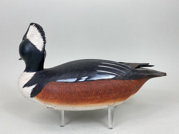 Ken Harris Hooded Merganser, Raised Crossed Wings (#5553)