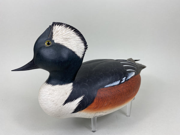 Ken Harris Hooded Merganser, Raised Crossed Wings (#5553)