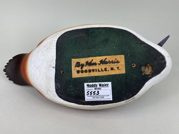 Ken Harris Hooded Merganser, Raised Crossed Wings (#5553)