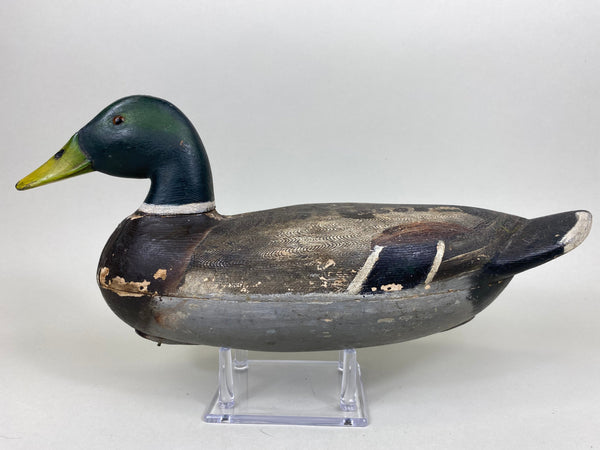 Mario Pioletti Mallard Drake (#5557)