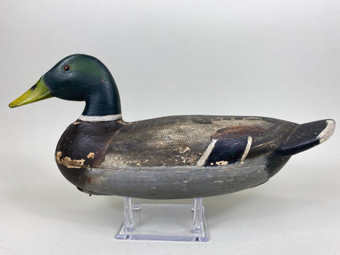 Mario Pioletti Mallard Drake (#5557)