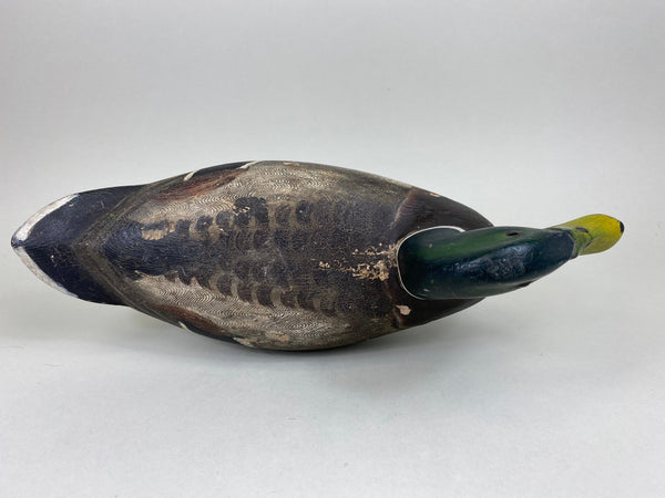 Mario Pioletti Mallard Drake (#5557)