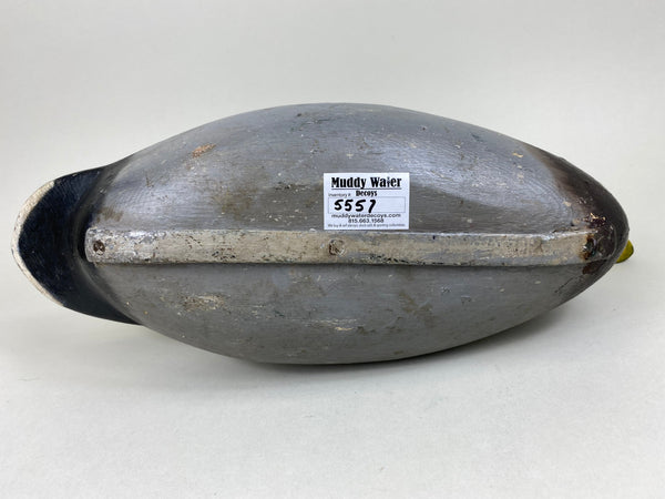 Mario Pioletti Mallard Drake (#5557)