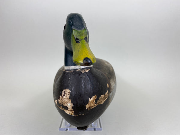 Mario Pioletti Mallard Drake (#5557)