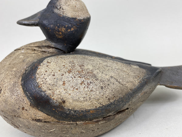 Unknown Bufflehead with Brand (#5558)