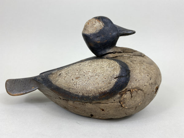 Unknown Bufflehead with Brand (#5558)