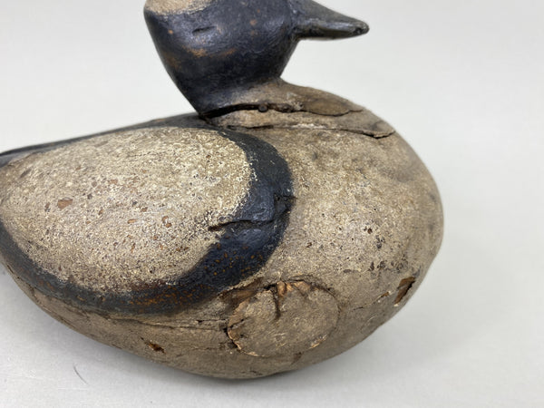 Unknown Bufflehead with Brand (#5558)