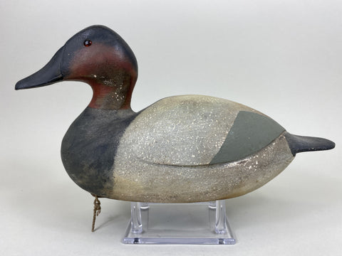 Canvasback Original Paint (#5560)