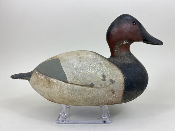Canvasback Original Paint (#5560)