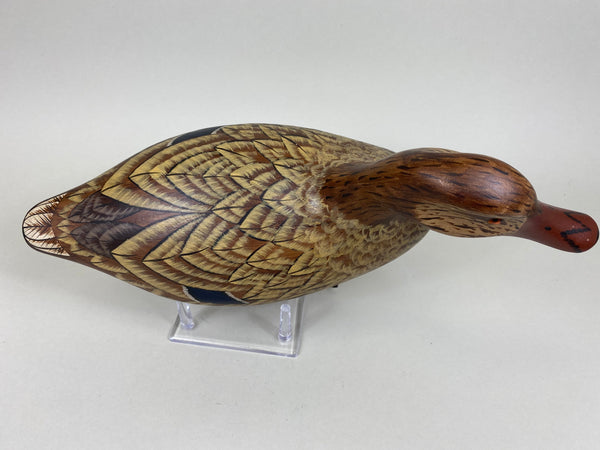 Full Size Standing Mallard Hen (#5564)