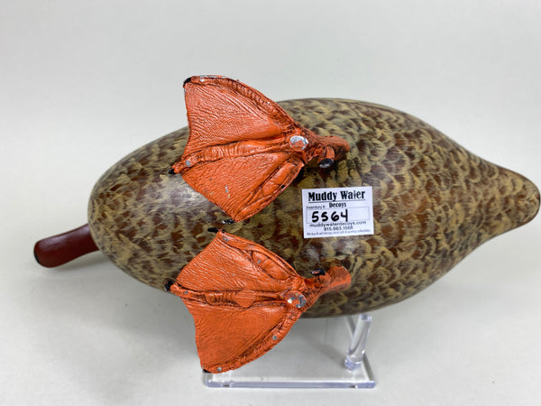 Full Size Standing Mallard Hen (#5564)