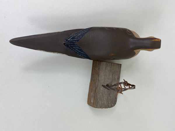 Morning Dove on Barbwire, Unknown Carver (#5569)