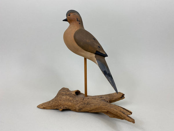 Morning Dove (#5572)