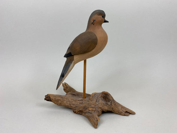 Morning Dove (#5572)