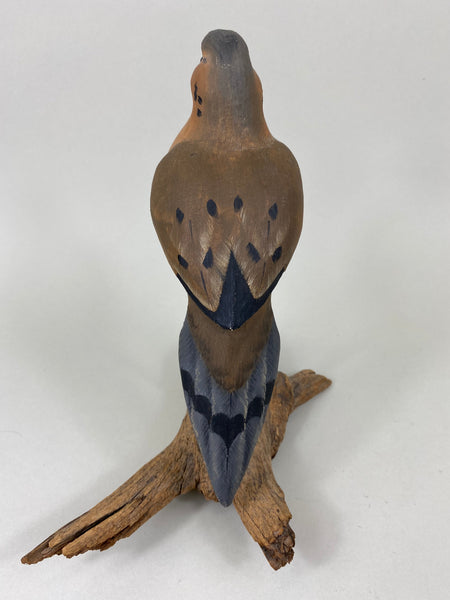 Morning Dove (#5572)