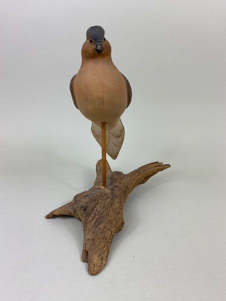 Morning Dove (#5572)