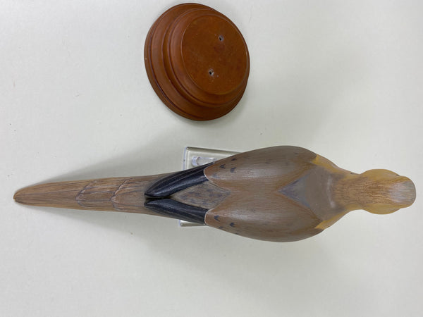 Ken Yacavone Morning Dove (#5576)