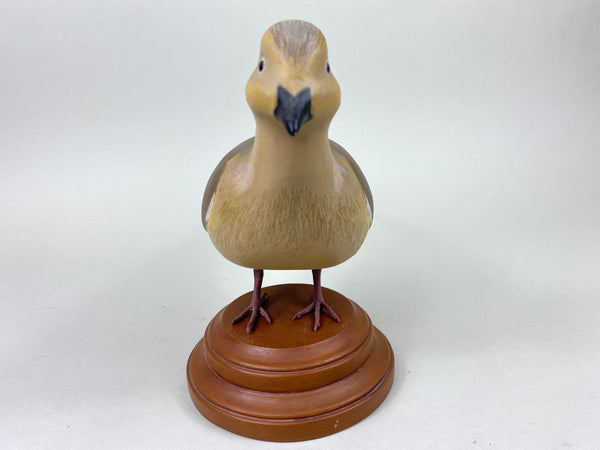 Ken Yacavone Morning Dove (#5576)