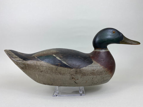 Mason Premier Mallard Drake All Original (#5605)