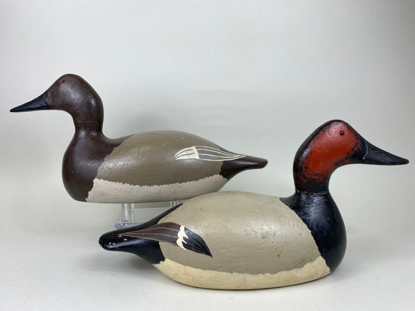 Evans Factory Pair of Mammoth Canvasbacks (#5627)