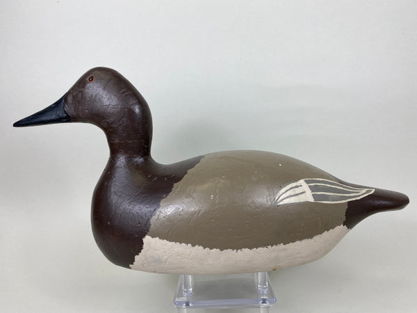 Evans Factory Pair of Mammoth Canvasbacks (#5627)