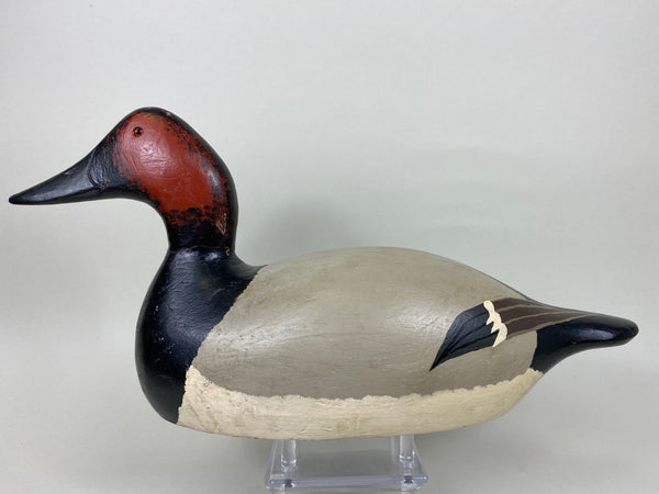 Evans Factory Pair of Mammoth Canvasbacks (#5627)