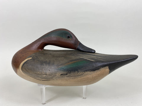 Illinois River Sleeper Greenwing Teal (#5630)