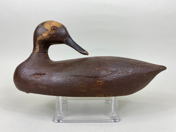 Canadian Teal, Sleeper Hen, All Original (#5634)