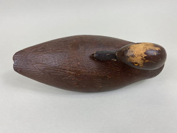 Canadian Teal, Sleeper Hen, All Original (#5634)