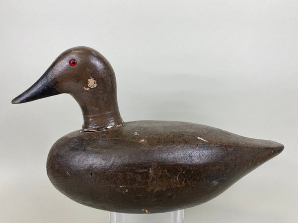 Pair of New York Canvasbacks (#5635)