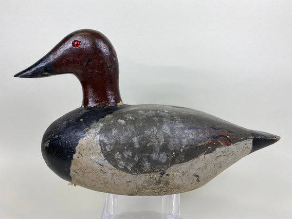 Pair of New York Canvasbacks (#5635)