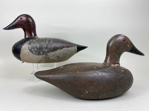 Pair of New York Canvasbacks (#5635)