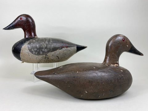 Pair of New York Canvasbacks (#5635)