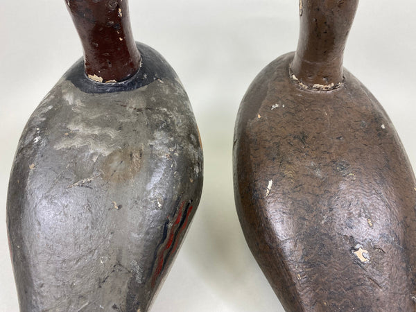 Pair of New York Canvasbacks (#5635)