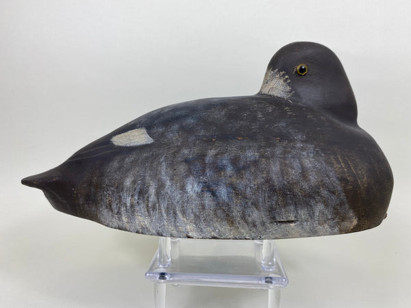 Pair of Unknown Sleeper Blue Bills (#5641)